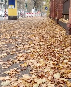 Herbstlaub auf Bürgersteig